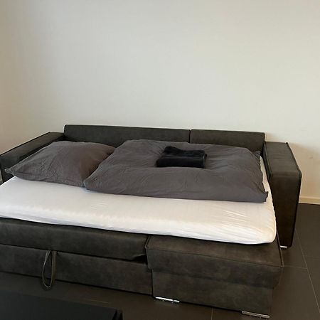 Luxuswohnung Direkt Am Phoenixsee Dortmund Esterno foto